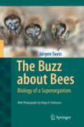The Buzz about Bees (Βιολογία της μέλισσας - έκδοση στα αγγλικά)
